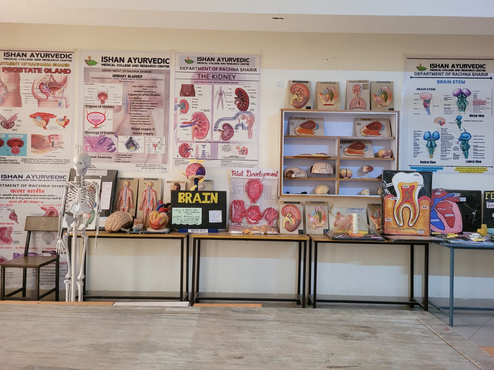 Department of Rachana Sharir - Lab 2